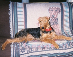 Kammie