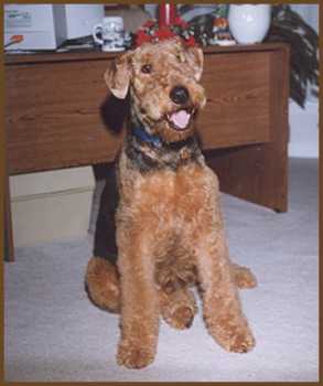 Remington