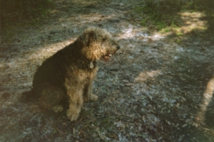 Rusty