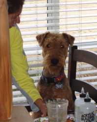 Baxter