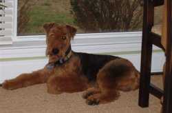 Baxter