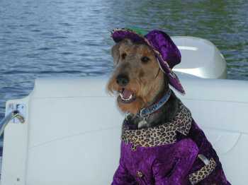 Chauncey