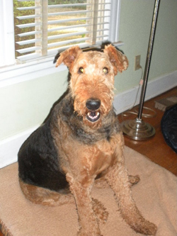Chester