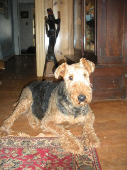 Chester