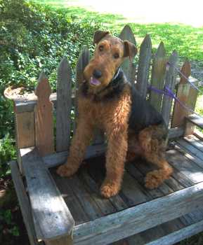 Roscoe