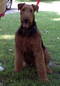 Roscoe