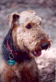 Rusty