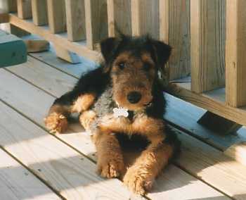 Rusty