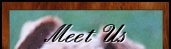 Meet Us